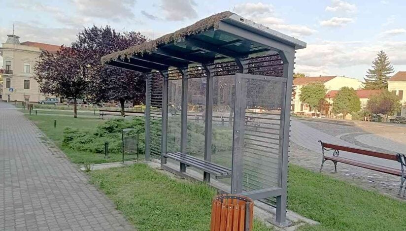 Primul acoperiș verde din Arad, sabotat! Analiza confirmă că vegetația a fost otrăvită intenționat