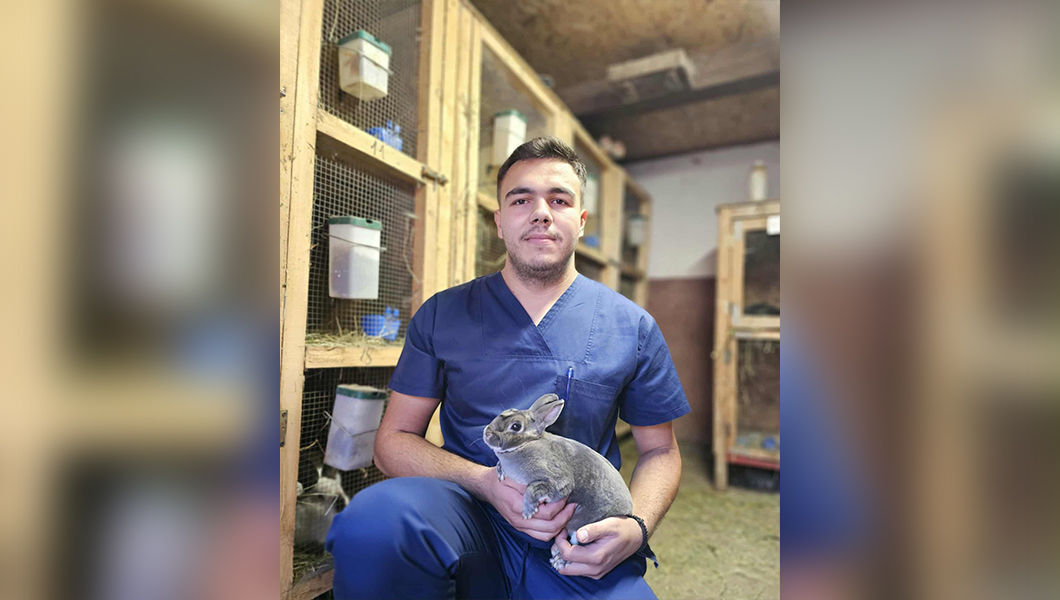 Student la Facultatea de Medicină Veterinară din cadrul USV Iași voluntar într-o campanie de vaccinare a iepurilor