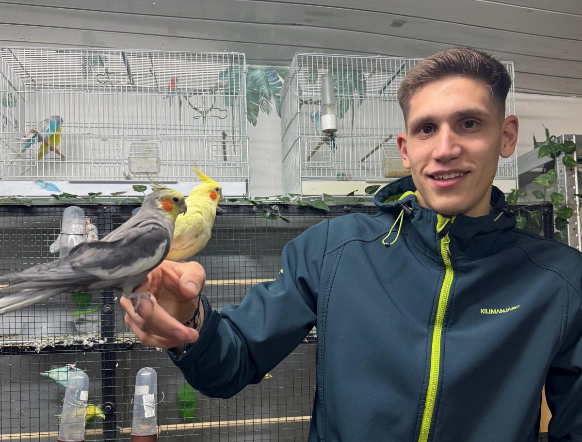 Moț, vedeta din colțul exotic al unui viitor medic veterinar