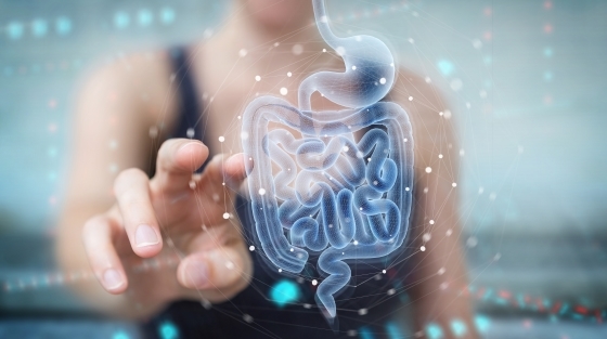 Body Line- Complex de vitamine și minerale pentru culturiști