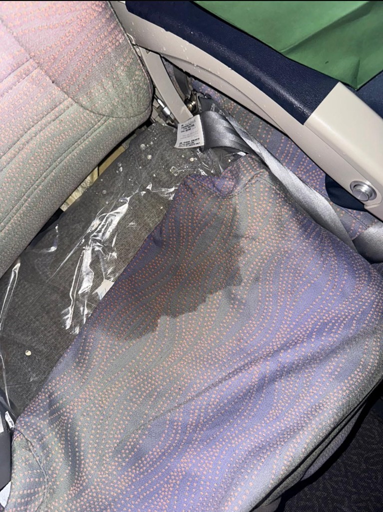 Panică în timpul unui zbor! Pasagerii au fost udați leoarcă după ce a început să curgă apă prin tavanul avionului