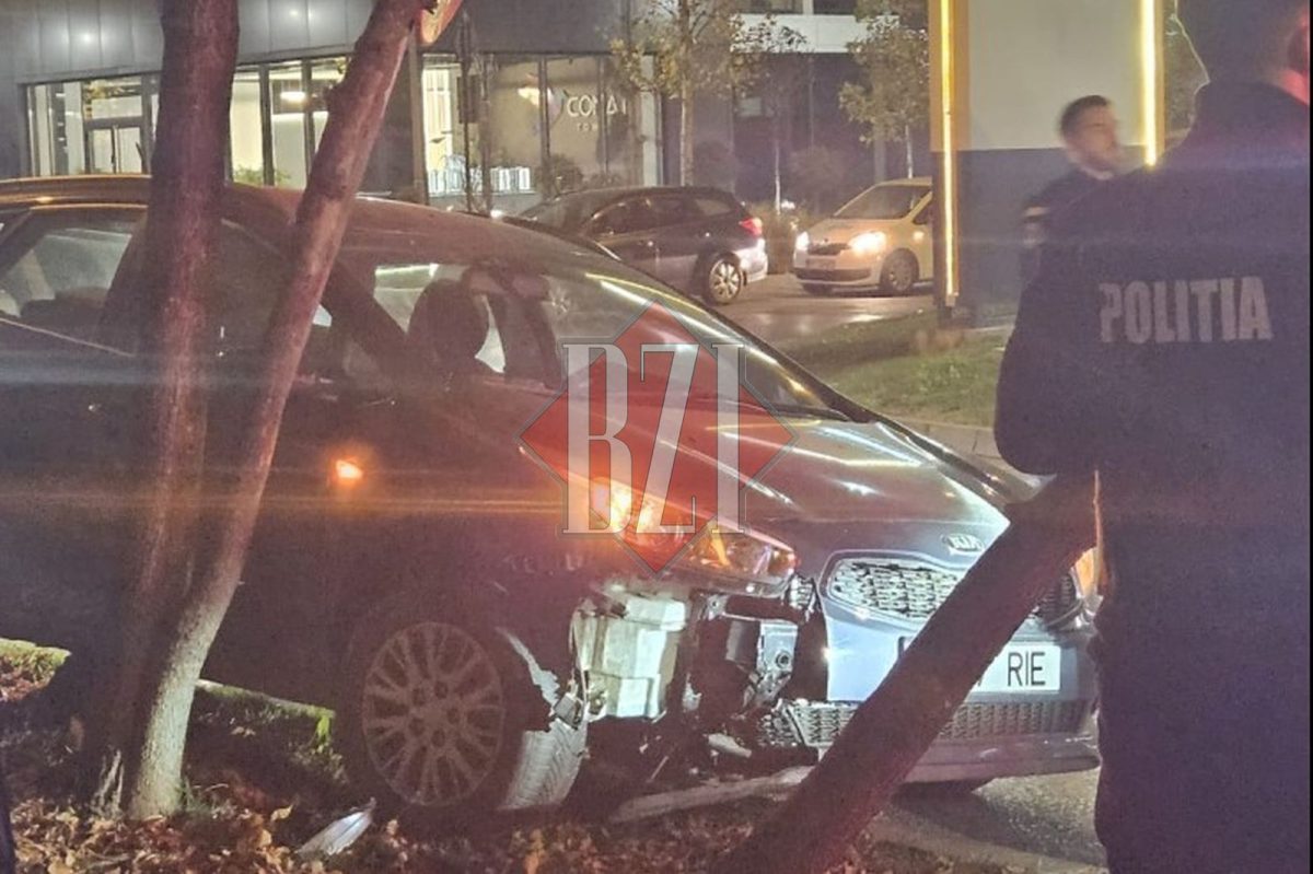 Accident rutier în zona Dacia. Un autoturism a rupt un copac și s-a izbit de un indicator rutier – EXCLUSIV