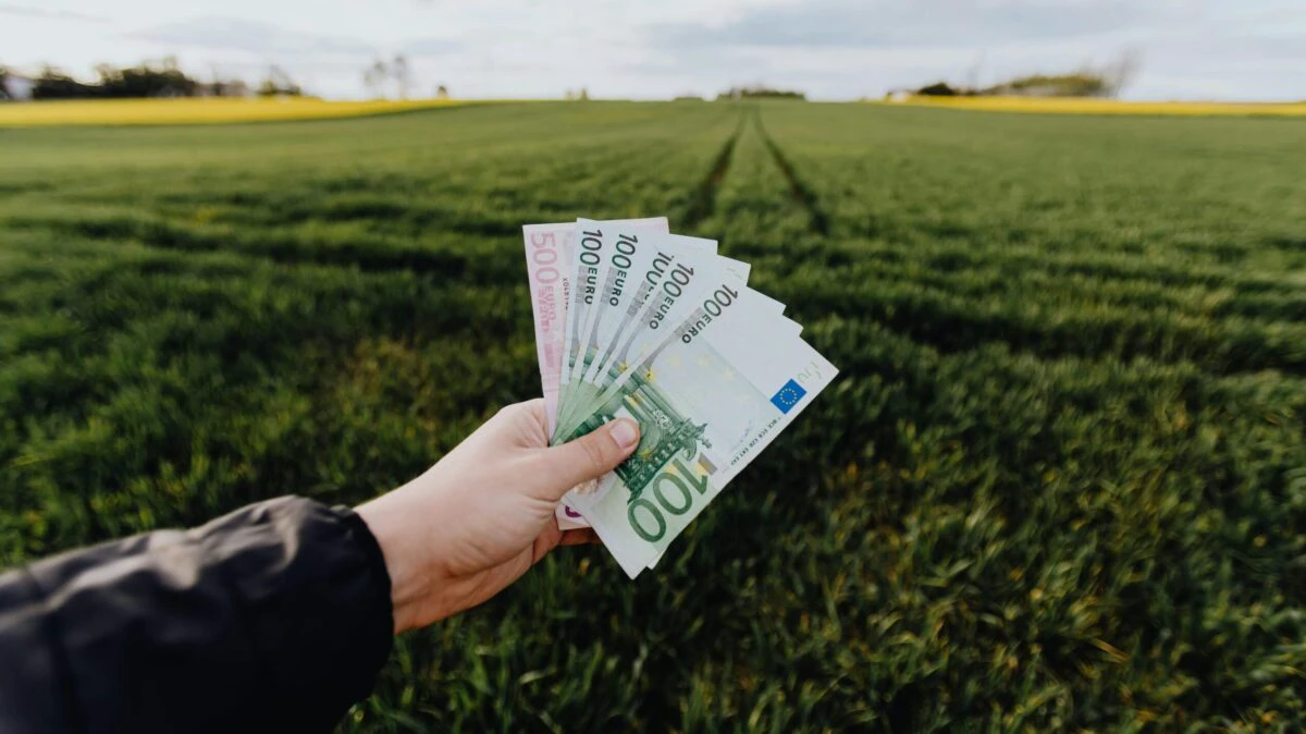 Intră banii în conturi! Avansul pentru subvențiile APIA ajunge până la 30 noiembrie. Cine sunt românii care primesc sprijin financiar