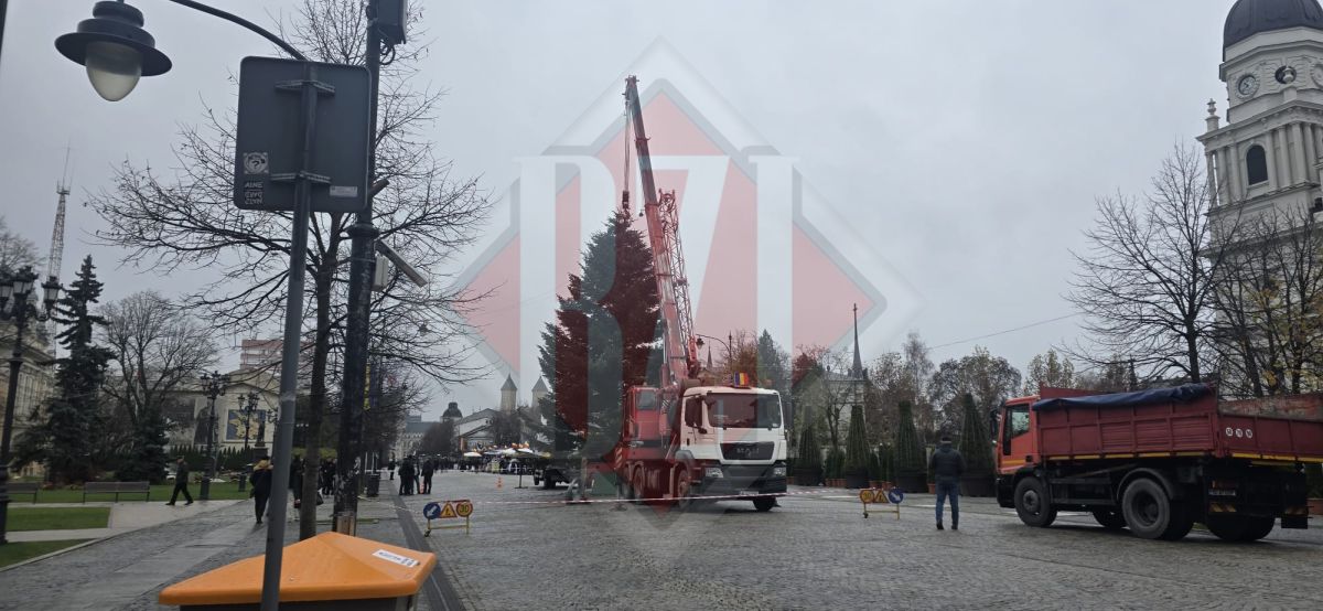 Pregătirile pentru sărbătorile de iarnă sunt în toi, la Iași! Se montează bradul pe bulevardul Ștefan cel Mare