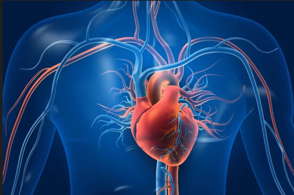 Ce presupune cateterismul cardiac? Iată cum poate identifica blocajele din arterele coronare!
