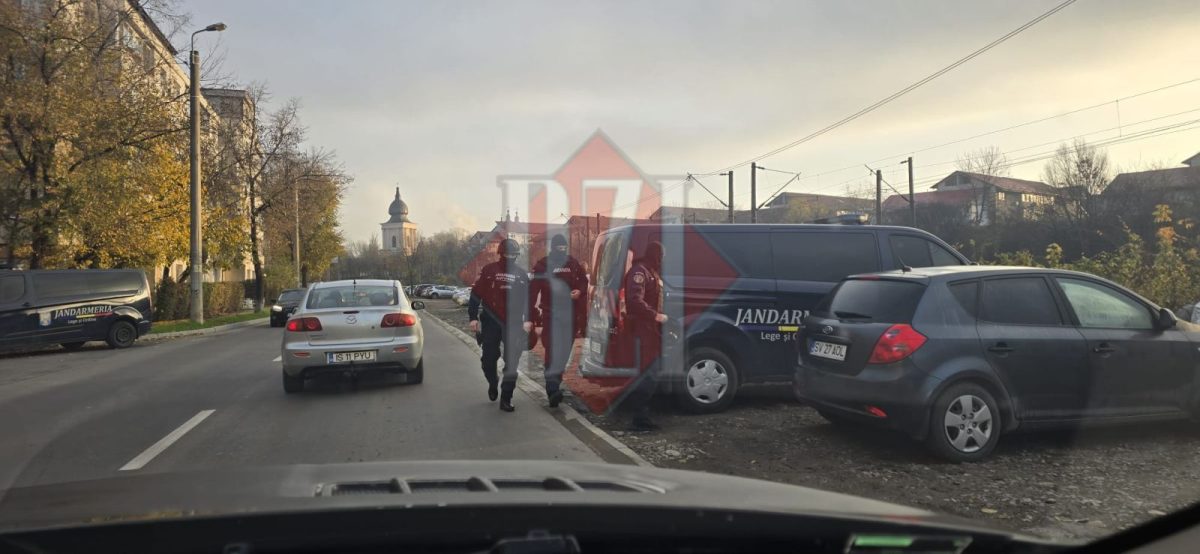 Captură uriașă la Iași! Poliția a confiscat haine și parfumuri contrafăcute aduse din străinătate