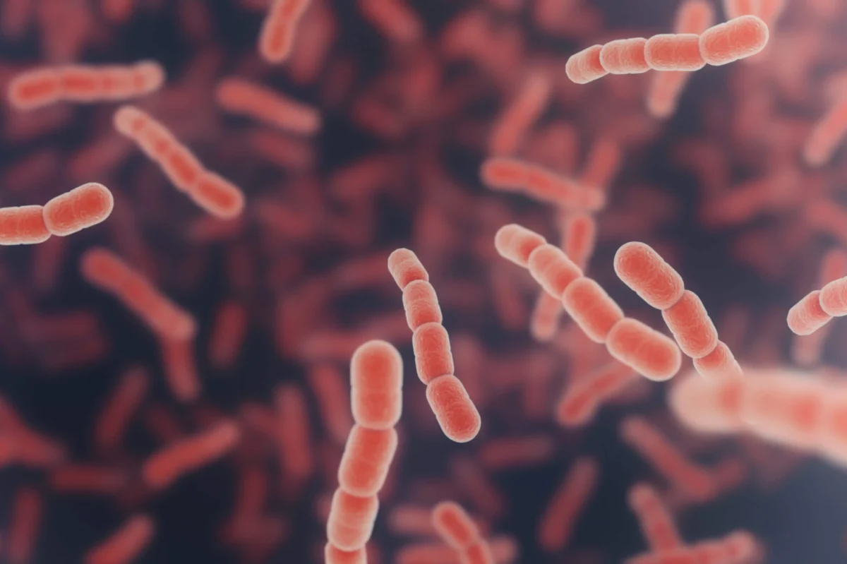 Tratament naturist pentru Klebsiella – Iată cum poți elimina bacteria eficient acasă