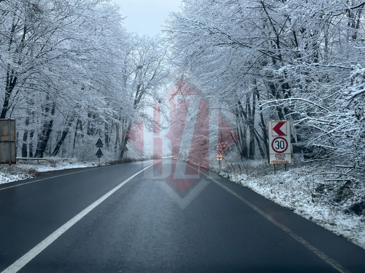 Imagini de poveste. O parte din Iași a fost acoperit de zăpadă. Iată cum arată orașul în această dimineață
