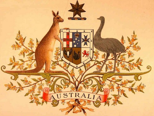 De ce pasărea Emu este un simbol cultural al Australiei? Află care sunt cele mai fascinante curiozități ale acesteia!