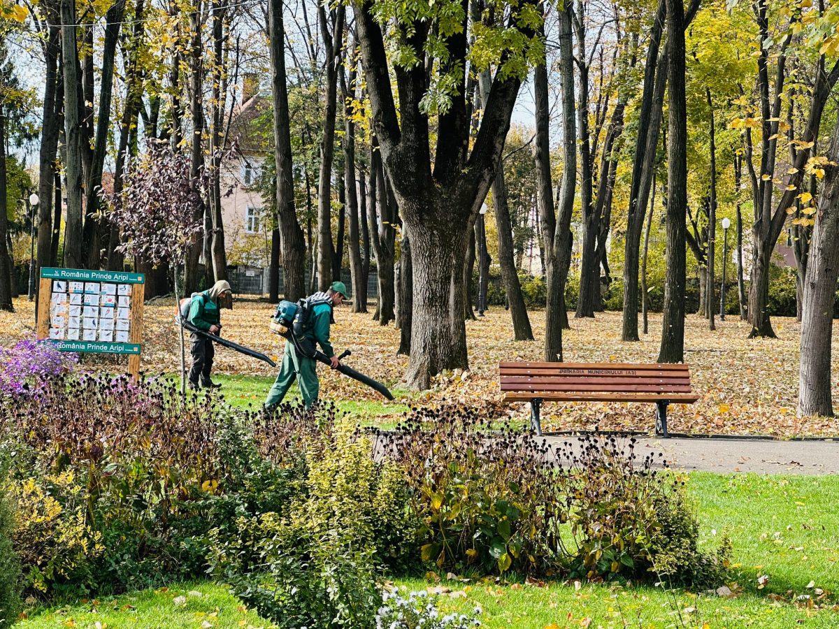 Servicii Publice Iași continuă lucrările de întreținere și reamenajare în parcuri și pe străzi