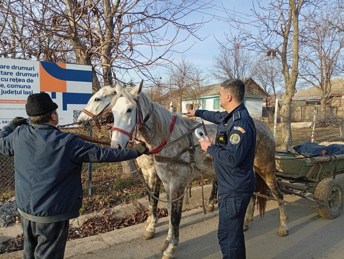 Acțiune a polițiștilor din Hârlău și DSVSA în comunele Erbiceni, Belcești și Focuri pentru siguranță publică și controale rutiere