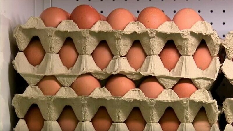 Rafturi goale de ouă în supermarketuri. România, între securitate şi criză alimentară