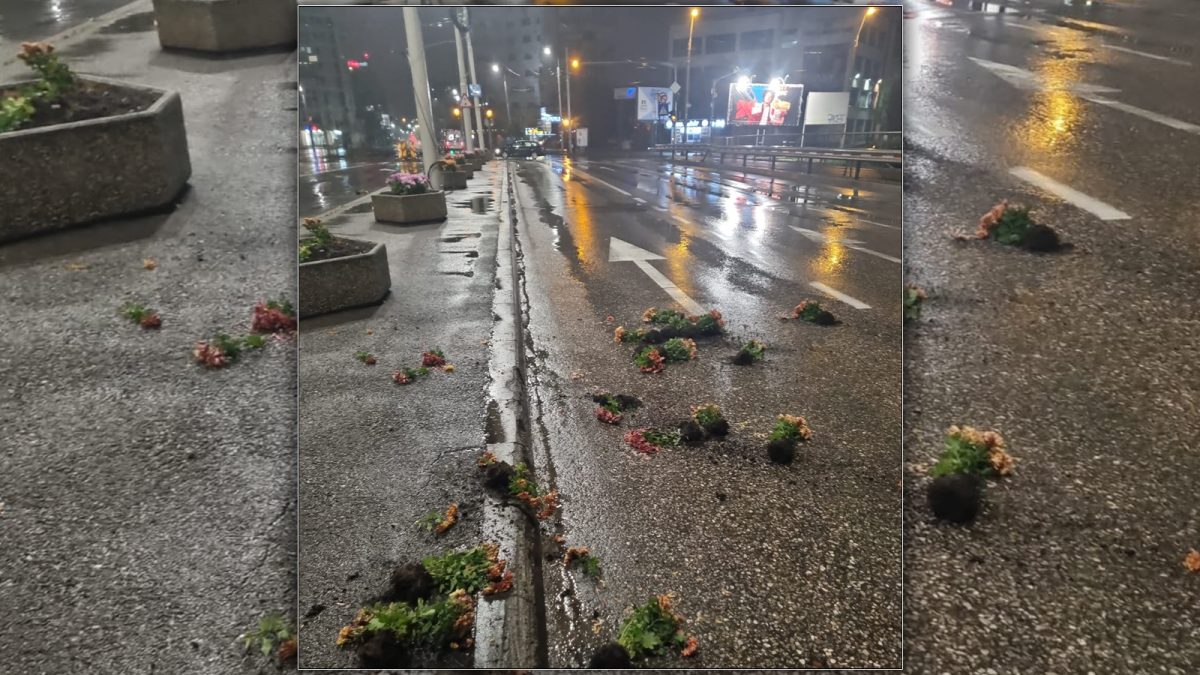 Scandal provocat de o femeie de 54 de ani, pe o stradă din Iași! A rupt ghivecele cu flori, deoarece nu îi plăcea cum erau aranjate