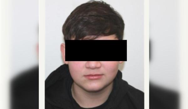 Mărturie cutremurătoare în cazul crimei din Cenei: unchiul lui Alin spune că fapta ar fi fost plănuită de o lună