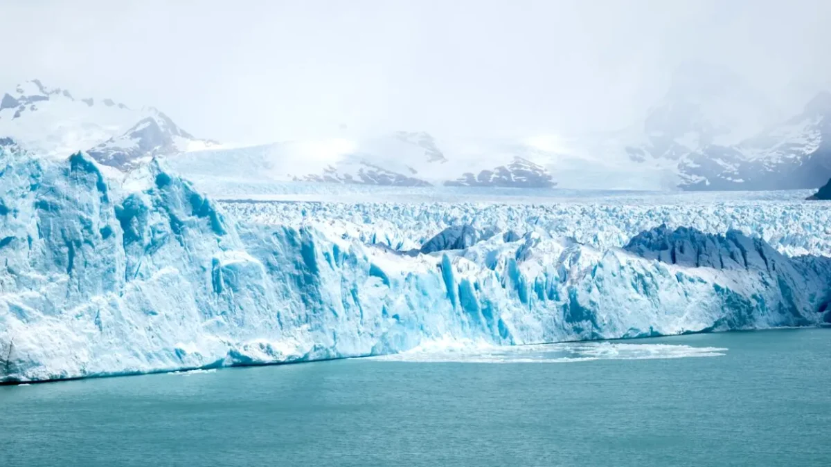 Creaturi milenare! Trăiesc peste 11.000 de ani și supraviețuiesc în frigul Antarcticii