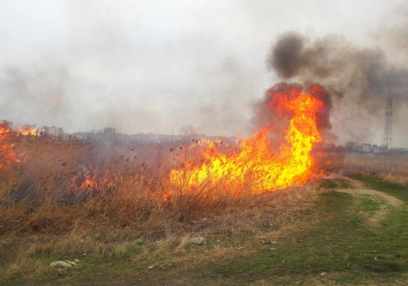 Tot mai multe incendii de vegetație în județul Iași! Pompierii au, zilnic, intervenții de stingere