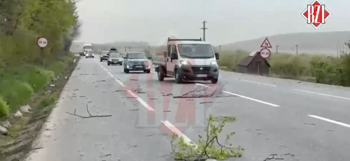 Crengi căzute pe carosabil din cauza vântului puternic pe DE 583, la Sârca. Polițiștii au intervenit de urgență