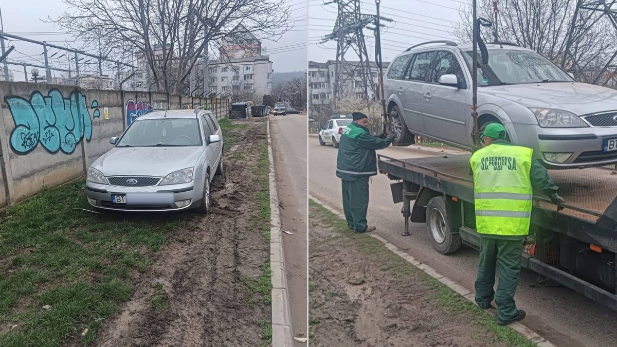 Un șofer din Botoșani a distrus spațiul verde de pe o stradă din Iași pentru a-și parca mașina. La final, polițiștii i-au ridicat autoturismul și i-au dat amendă