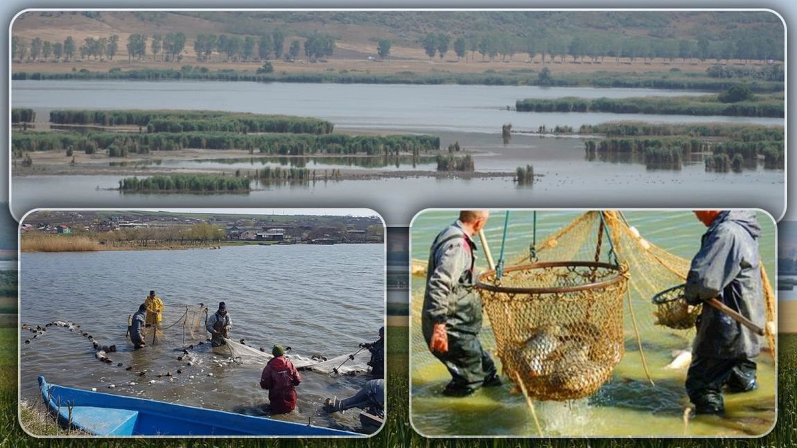 Angajări în străinătate! Se caută fierari, măcelari sau lucrători în producția și prelucrarea somonului, plătiți cu mii de euro