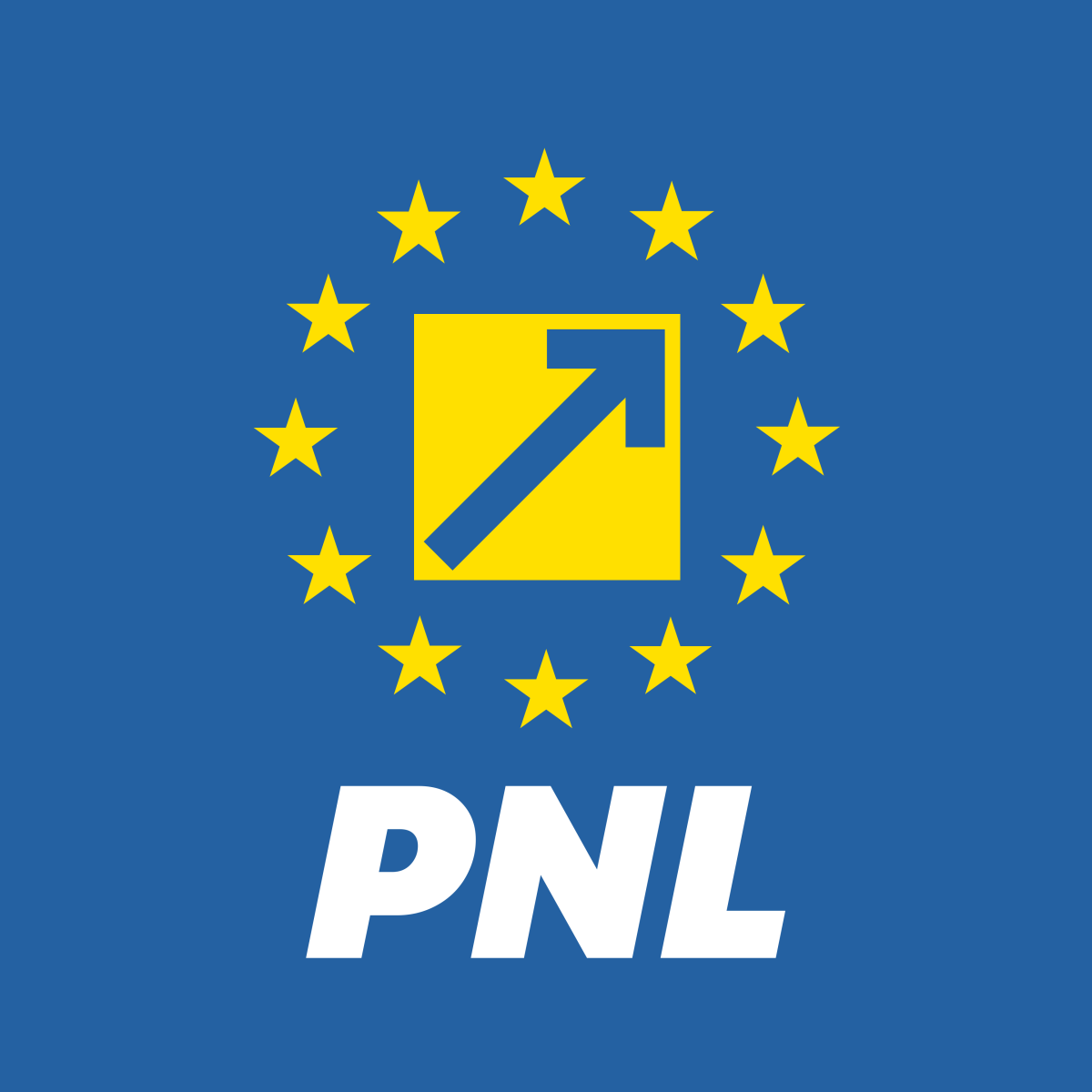 PNL a aprobat modificarea Statutului în Consiliul Național, cu vot strâns și acuzații de lipsă de transparență. Hotărârea ar putea fi contestată