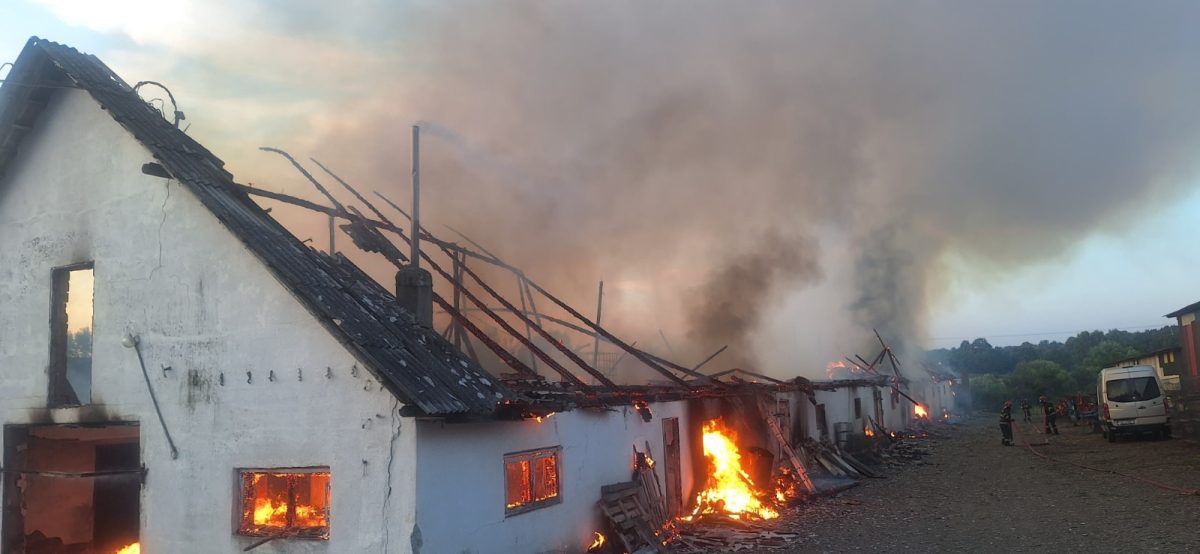 Incendiu devastator la o fermă avicolă din Suceava. O mie de găini și mai multe animale au murit, iar o hală a fost distrusă de flăcări