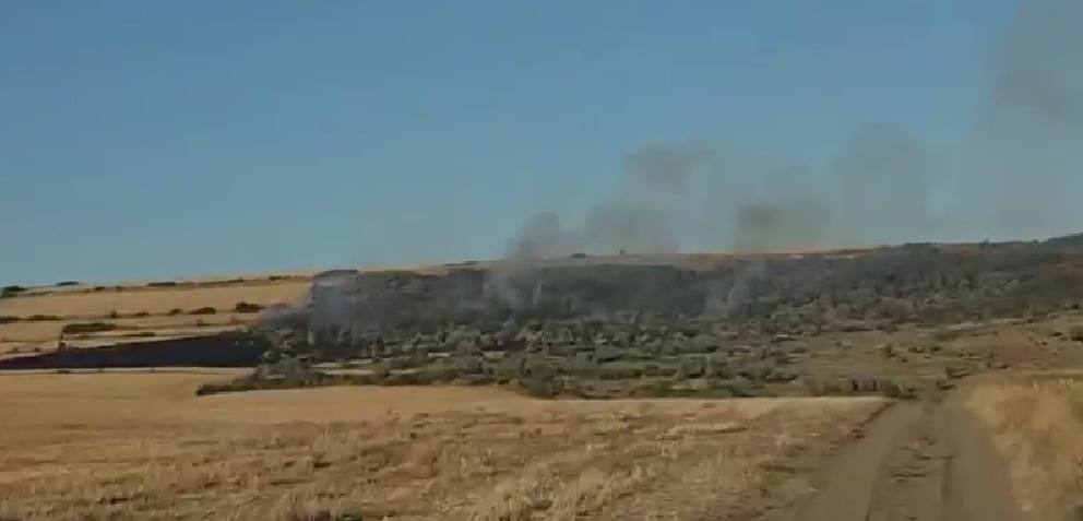 Incendiu de vegetație uscată în comuna Țibănești