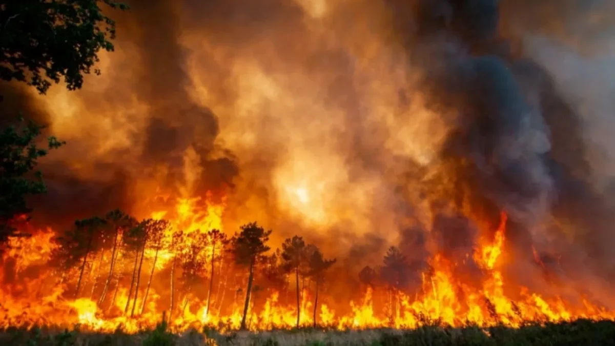 Incendiu de vegetație în statul Washington. Mii de oameni au primit ordin de evacuare, iar mii de locuințe sunt amenințate
