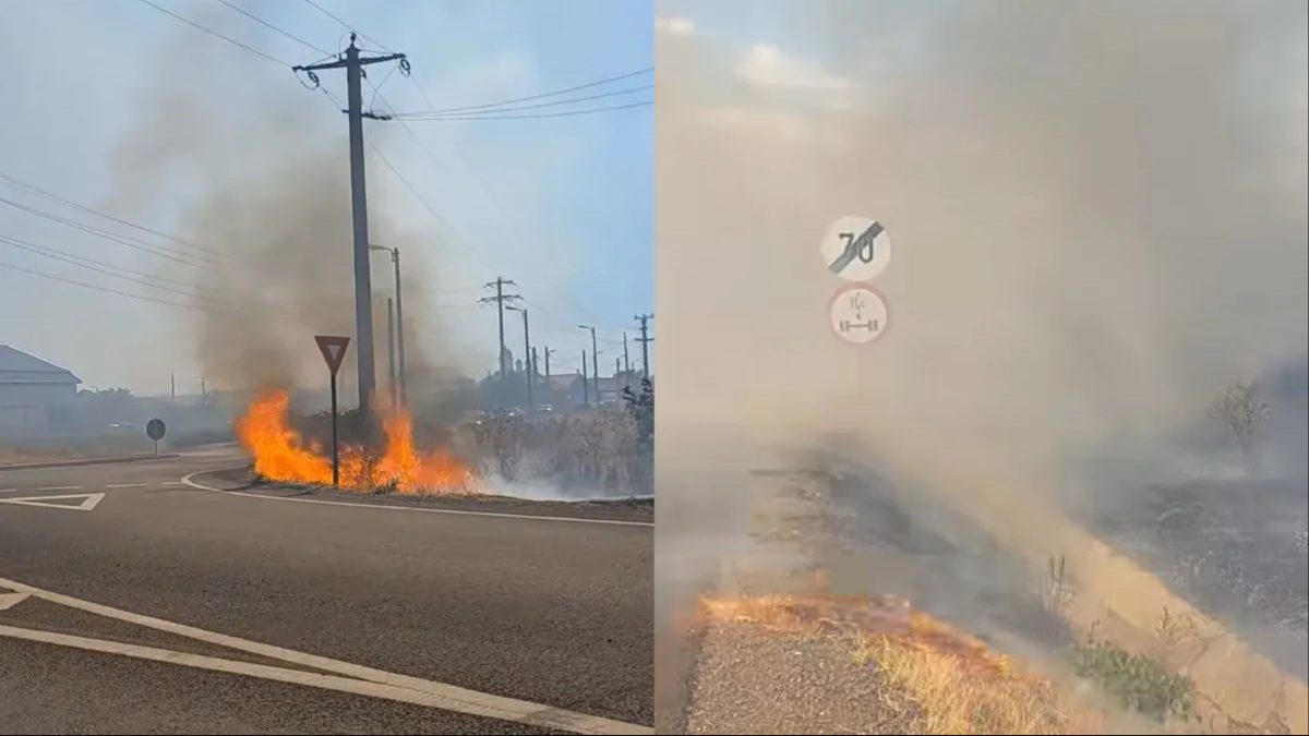 Incendiu puternic de vegetație în Drobeta-Turnu Severin. Traficul a fost blocat pe centura orașului