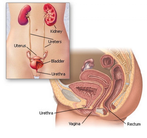 spasm uretral la bărbați radical retropubic prostatectomy