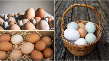 Ce se întâmplă cu prețul ouălelor chiar înainte de Paște?